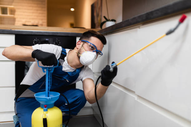 Best Local Pest Control Services  in Poway, CA