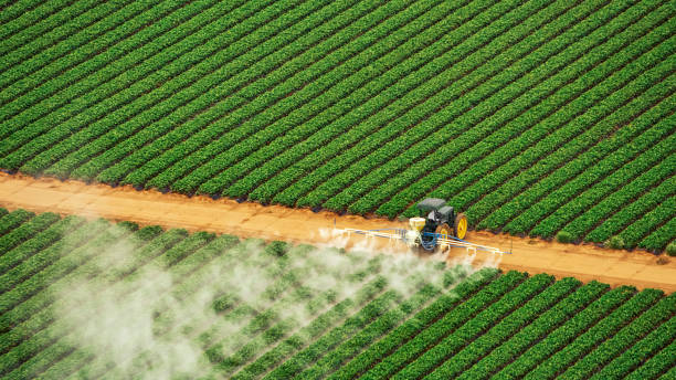 Insect Control in Poway, CA