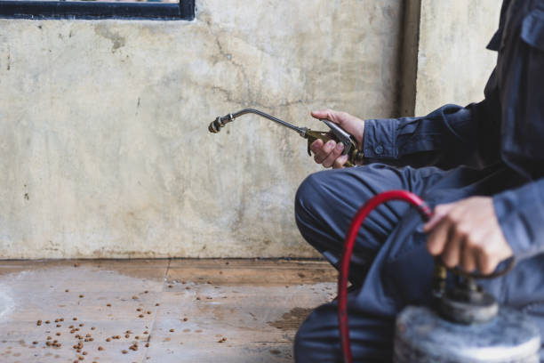 Professional Pest Control in Poway, CA